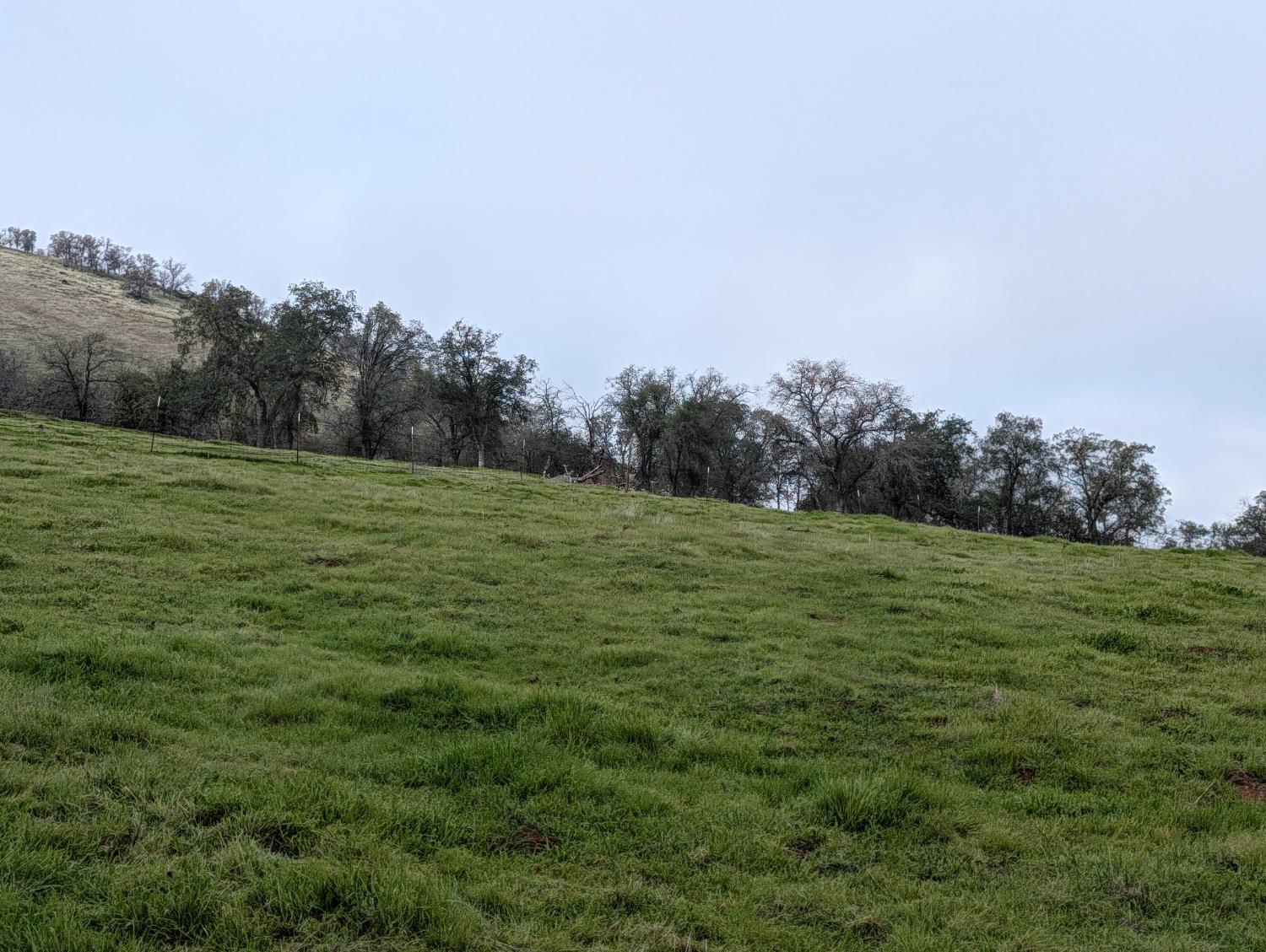 7079 Palomino Dr, Sanger, CA 93657