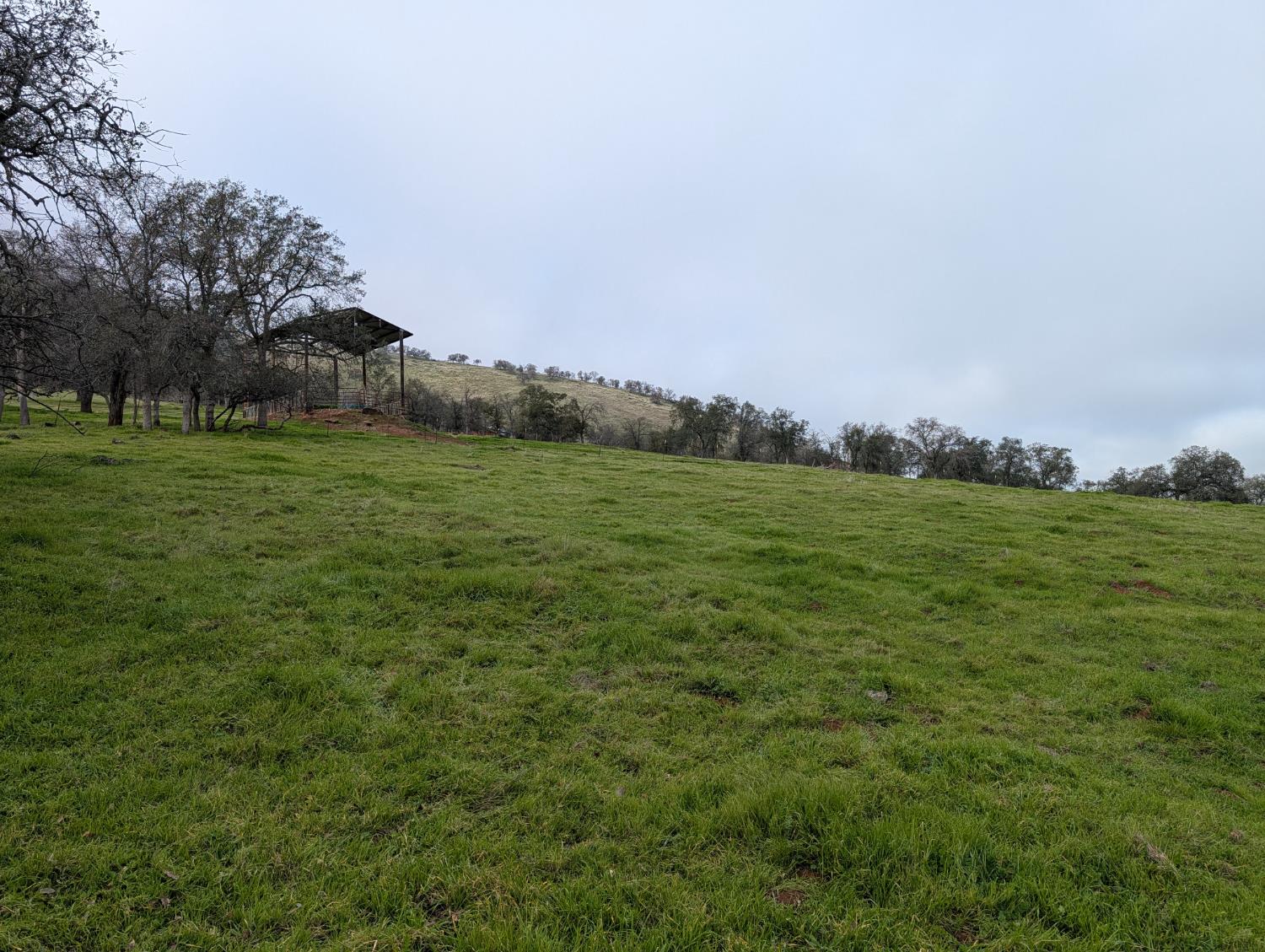 7079 Palomino Dr, Sanger, CA 93657